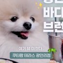 광안해변로L 이미지