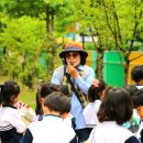 왕선초등학교 이미지