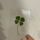 7038 | [광안리 카페] 예쁜 인테리어와 디저트가 맛있는 '범람' 내돈내산 후기