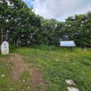 동대산 주차장 | 동대산 최단코스 산행 후기