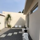 스테이그라피 이미지