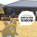 오늘도 힘차개 | #풀스테이 #이벤트 함께 하면 즐거움 가득! [제 1회 풀스테이 댕댕이 운동회] 후기