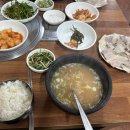 중앙돼지