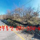 남양주시 별내동 잡종지 야적장 689평 매매 이미지