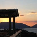 들꽃효소마을 이미지