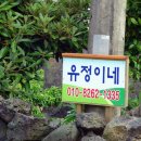 유정이네민박 이미지