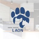 와우 동물병원 이미지