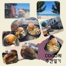 강릉 수제 햄버거 디스코버거 본점 끝내주는 버거 디스코버거 내돈내산 후기
