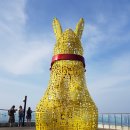 월촌역-달서구청소년수련관-청룡굴 - ▲703.4m -앞산- 안지랑역 2 이미지