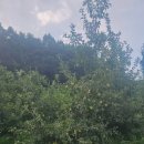 제천가족수영장클라우드펜션 이미지