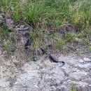 넙치민박 이미지