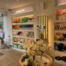 수원-0314 이미지