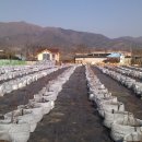 미르농장 이미지