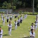 혜성태권도 이미지