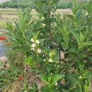 창환농장 이미지