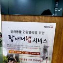 향남메디동물병원 이미지