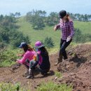 호림식당 이미지