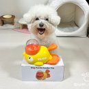 BICHON KOREA | [테무] 강아지 간식, 사료 발사기 '오리 장난감' 테무깡 후기