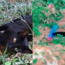 대신열쇠 이미지