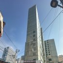 선월만두