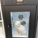 숲냥숲냥 이미지