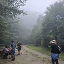 원주굽이길 16코스 매지순환둘레길 이미지