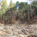 어린이대공원 제10호 이미지