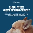 왜관동물병원 이미지