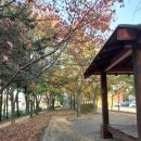 인천유통 이미지