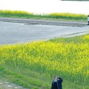 신기강변로 이미지