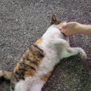 내꺼게임장 이미지