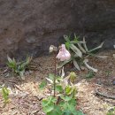 호텔 오월로 이미지