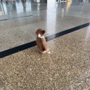 한국지엠의왕서비스센터(주) | 나트랑 여행기✈️🏝️🌊