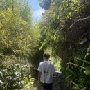 삼백스파 | 부아한 반얀트리 2탄 ( 요가 , 폭포트래킹 , 지프투어)