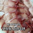 남강횟집 | 대전 방어회 포장, 오정동 남강수산에서 제철 방어 즐기기