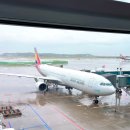 379 | 장춘여행 아시아나 OZ379 좌석 기내식 수하물