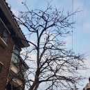 나우행정사 이미지