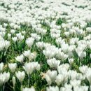 파로스학원 이미지