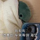 굿윌드림약국 | 반오십의 기깔나는 한 주 ✌️💛