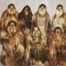 버블그루밍 이미지