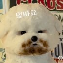 너를닮은케이크 이미지