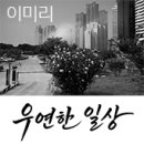 자연+인간+우연 | 이미리 초대전 : 우연한 일상 - 갤러리 051