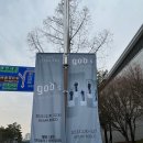 베네키아호텔대림 조식, 돼지곱창전골 맛집 광천순대 / 백스코 GOD 콘서트, 서면역 맛집 준이네한치회모밀