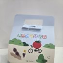 플라스틱가드너 | 식물키우기세트 추천 씨앗키트로 즐기는 식목일활동 &amp; 봄행사 준비, 나누 3종 세트 후기