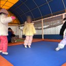 좌구산 썰매장 이미지