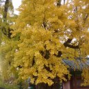 송원종합상사 | 성균관 成均館