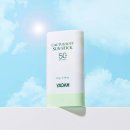 선인장디자인 | 여름철 수시로 덧바르기 좋은 쿨링 선스틱, 야다 수딩 쿨러 선인장 소프트 선스틱 사용 후기