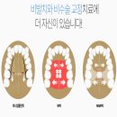 연세정직한치과의원 네이버블로그
