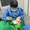 더타이트성형외과의원 이미지