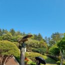 생성의 대지-비상 이미지